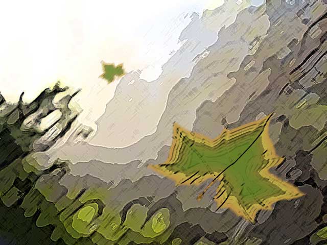 Feltip Leaf