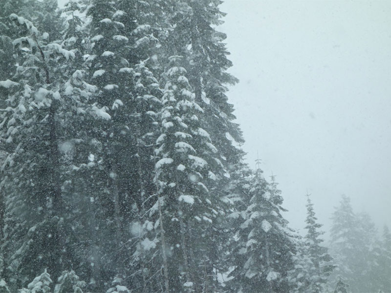 Winter Driftly (Piano)