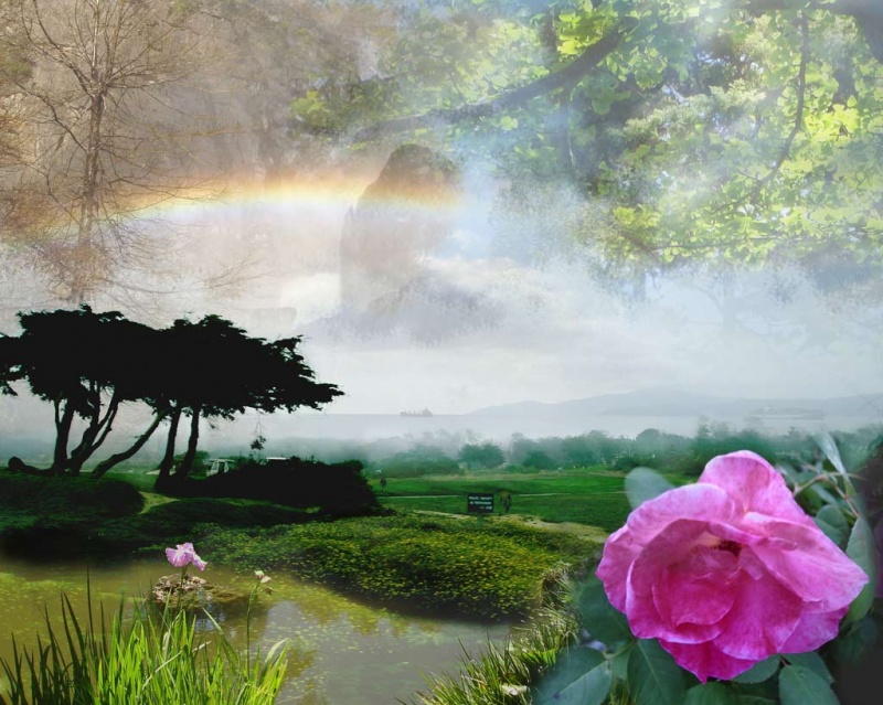 CA Photo Montage