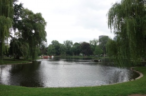 2014-07-15_12-26-18.jpg