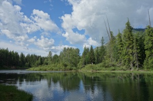 2014-07-21_09-02-08.jpg