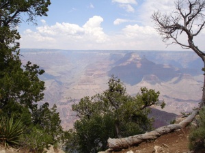 2005-06-24_12-55-06.JPG