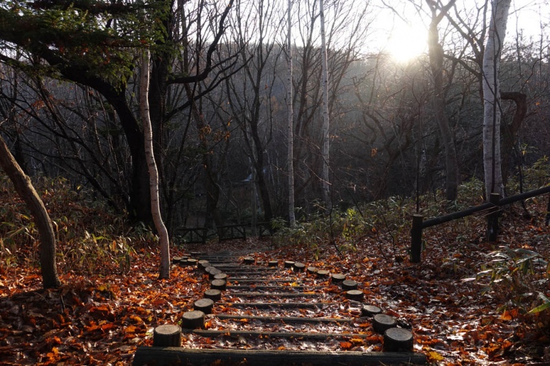 Autumn in Nishioka Park
