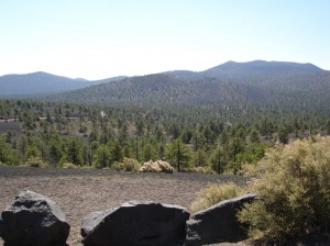 2005-06-26_10-07-33.JPG